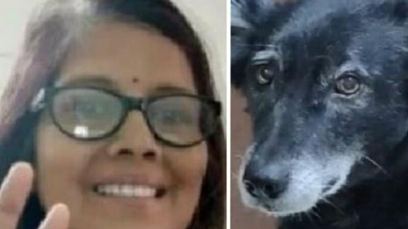 कानपुर: अर्थी पर मालकिन का शव देखते ही कुत्ते ने भी कर ली आत्महत्या 