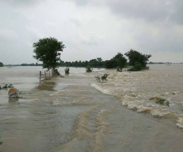 बाढ़ के कारण बिहार और असम में हालात बेकाबू, राहत और बचाव में तैनात एनडीआरएफ की टीमें