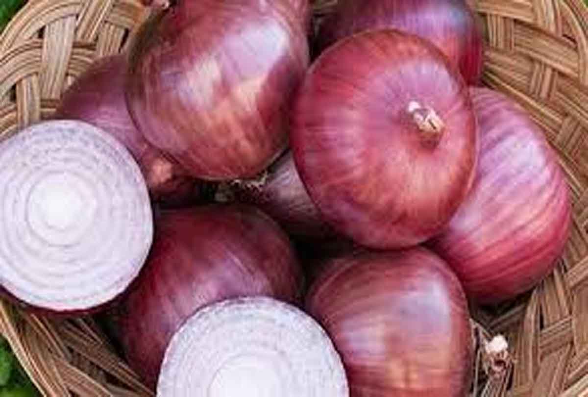प्याज से फैल रही गंभीर बीमारी, न खाएं इस रंग के प्याज