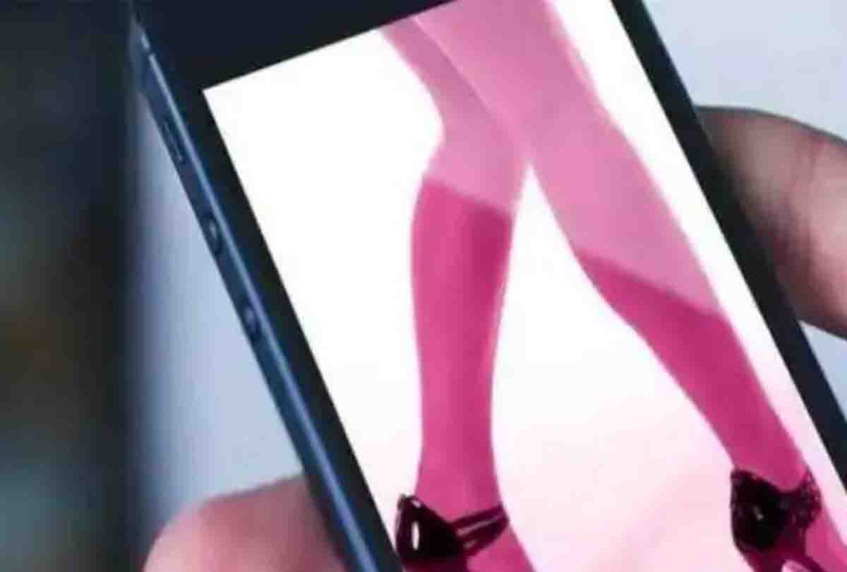 सदन में पोर्न देखते पकड़े गये नेता जी, सफाई में कही ये बात