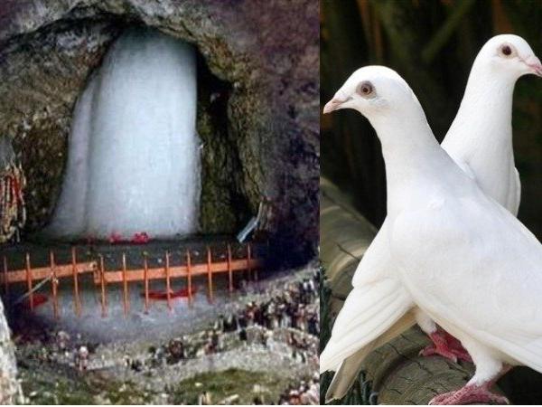 बाबा अमरनाथ यात्रा की जानिए रोचक बातें और पौराणिक कथा