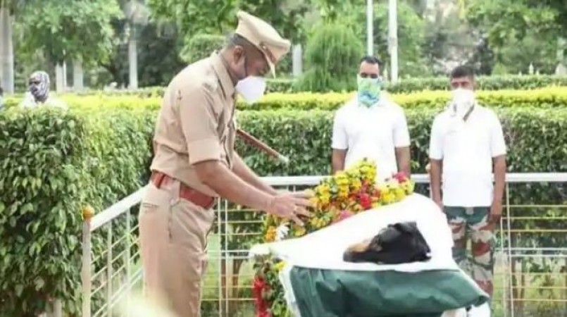 पुलिस फोर्स के Sniffer Dogs में से एक होनहार सिपाही रॉकी की मौत, सम्मान के साथ दी गई अंतिम विदाई