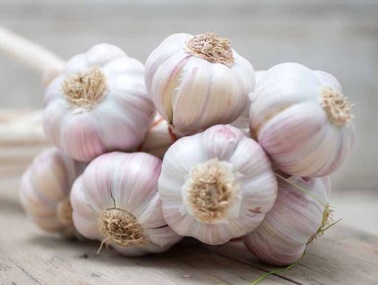 Garlic Price: प्याज और सब्जियों की कीमत में आई भारी गिरावट के बाद जानिए क्या है अब लहसुन की नई कीमत