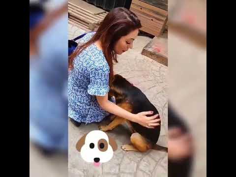 तारका मेहता की बबिता अपने साथ क्यों रखती हैं एक डिब्बी, जाने वजह