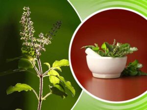 Tips To Control Low Bp: अचानक बीपी लो हो जाए तो तुरंत अपनाए ये घरेलू उपचार