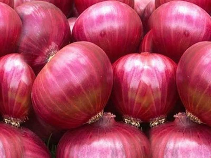 फिर रुलाने लगा प्याज, नासिक मंडी में आसमान पर पहुंचा भाव