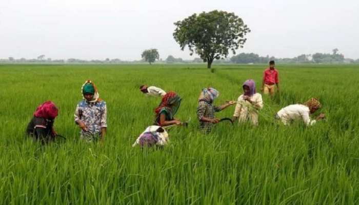 प्रधानमंत्री नरेंद्र मोदी ने किसानों के खाते में डाले 2000 रूपये, घर बैठे ऐसे करें चेक