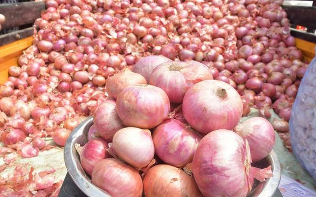 Onion Price: 8 दिनों में दूसरी बार प्याज की कीमत हुई कम, अब फूटकर में इतनी रह गई है कीमत