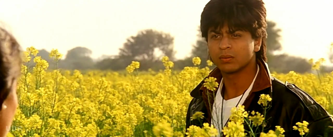 Ddlj: शाहरुख-काजोल की इस फिल्म ने तोड़ दिया था कमाई का रिकॉर्ड, 4 करोड़ में बनी फिल्म ने की थी इतनी कमाई