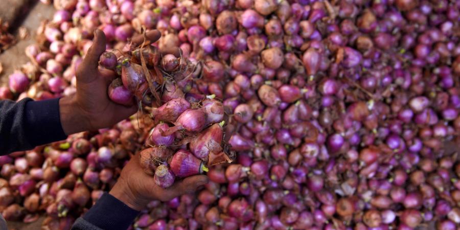 Onion Price: प्याज की कीमतों में आई गिरावट की वजह से पिछले महीने के आधे पर आई कीमत, जानिए क्या हैं नये भाव