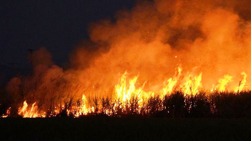 लखनऊ के ऐशबाग में लगी भीषण आग, मचा हड़कंप