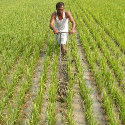 जज्बा: कभी यह दिव्यांग लड़का करता था दुसरो की मजदूरी, 1आईडिया से कमा रहा हर साल 15 लाख रूपये
