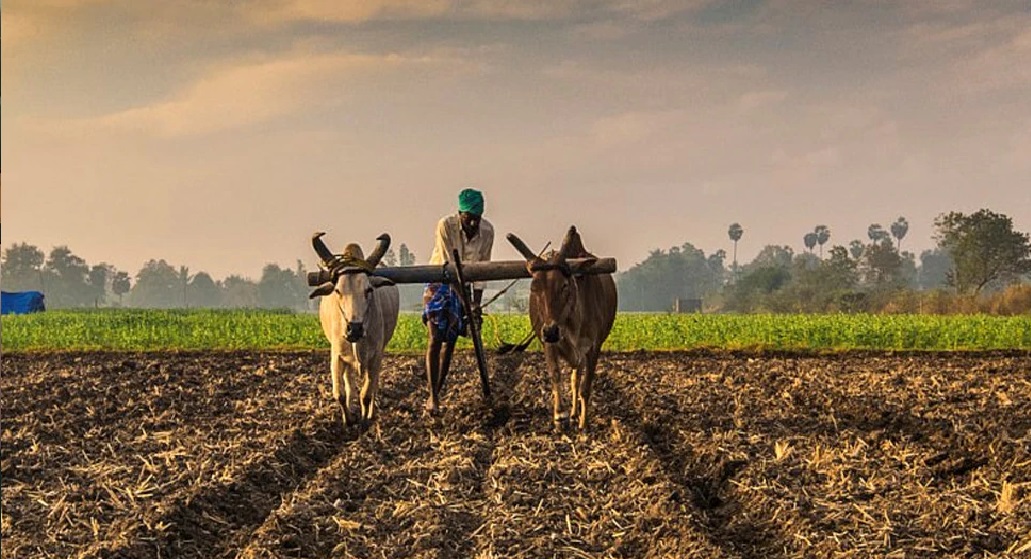 'कॉमेडी कर चुपचाप, राजनीति करने की कोशिश मत कर' देखें किसने कपिल शर्मा को दी धमकी