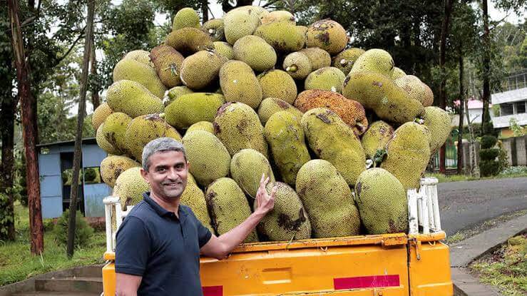 माइक्रोसॉफ़्ट कंपनी की नौकरी छोड़ बना रहे हैं कटहल का आटा, डॉक्टर अब्दुल कलाम भी थे इनके फैन