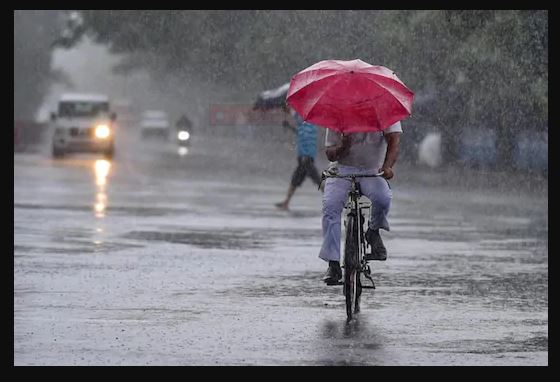 बारिश की बूंदों के साथ दिल्ली में बरसने लगा तेल, राजधानी की सड़कों पर फिसलने लगी गाड़ियां