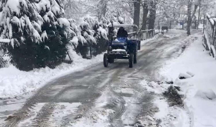 Weather: कश्मीर, दिल्ली समेत इन राज्यों में कड़ाके की ठंड, जानिए देश भर के मौसम का हाल