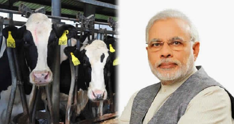 प्रधानमंत्री