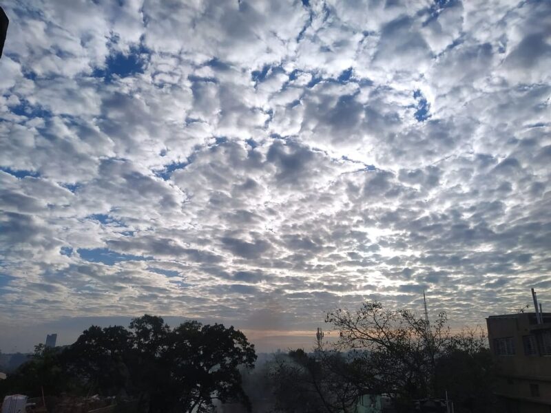 Weather Forecast Today: पहाड़ों पर बर्फबारी से मैदानी इलाकों में बढ़ी ठंड, यहाँ पड़ने वाली है कड़ाके की ठंड