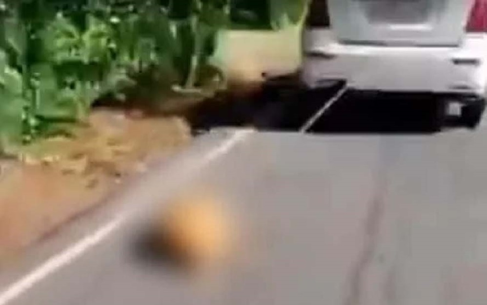 इस इंसान ने की सारी हदे पार, कुत्ते को गाड़ी के पीछे रस्सी से बांध सड़क पर दौड़ा दी गाड़ी, अपराधी यूसुफ हुआ गिरफ्तार