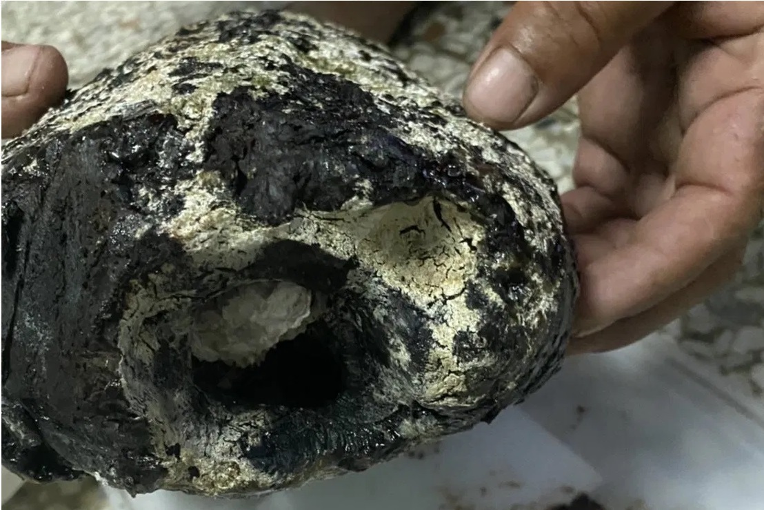 व्हेल मछली की उल्टी पाकर थाईलैंड का मछुआरा हुआ अमीर, करोड़ो का बना मालिक