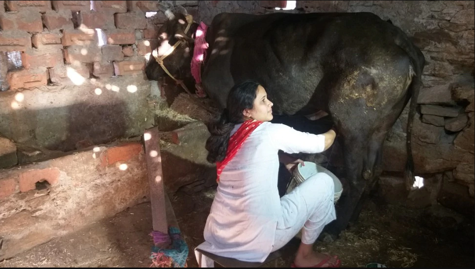गायों के तबेले में गोबर उठाने वाली युवती चुनौतियों के बीच बनी जज़, पीपो को टेबल बना करती थी पढ़ाई