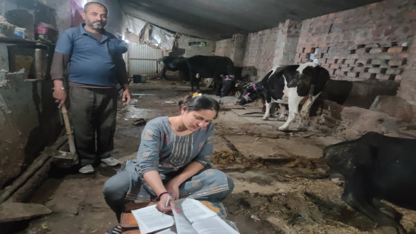 गायों के तबेले में गोबर उठाने वाली युवती चुनौतियों के बीच बनी जज़, पीपो को टेबल बना करती थी पढ़ाई