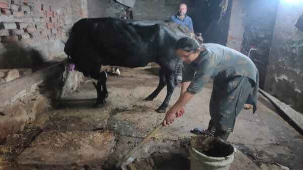 गायों के तबेले में गोबर उठाने वाली युवती चुनौतियों के बीच बनी जज़, पीपो को टेबल बना करती थी पढ़ाई