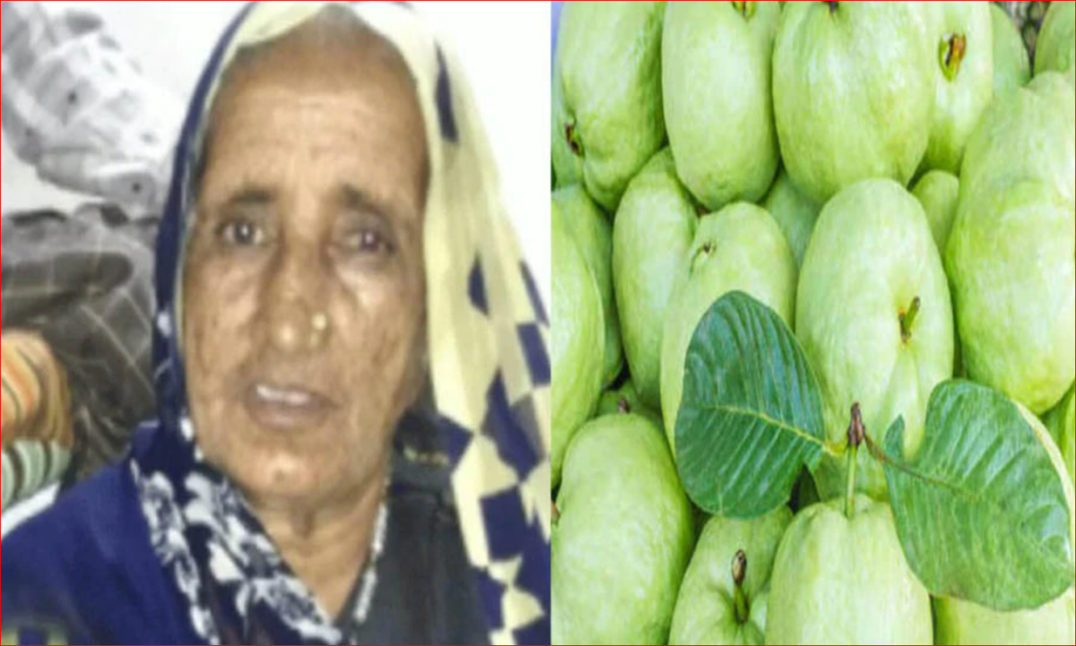 इंदौर: 5 साल की पोती बोली- आपने सारे अमरूद खा लिए, जिससे नाराज दादी ने एसिड पीकर दे दी जान