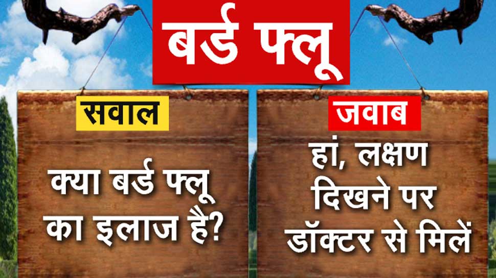 बर्ड फ्लू 
