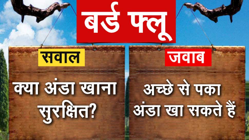 बर्ड फ्लू
