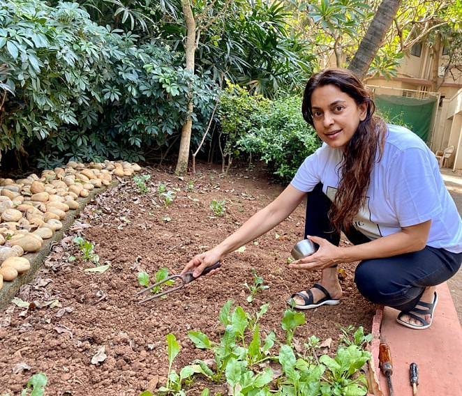 मालाबार हिल्स में जूही चावला के 9 मंजिला आलीशान बंगला, देखे उनके घर की कुछ तस्वीरे