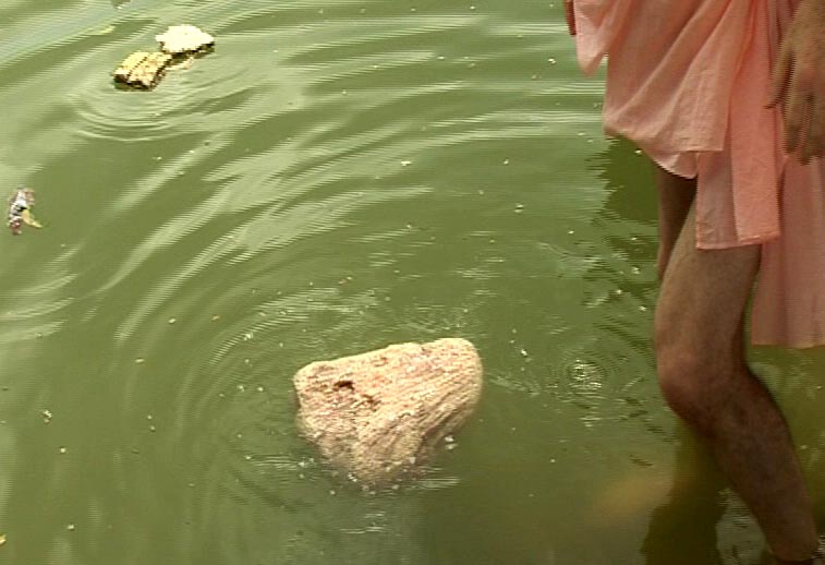 भारत 