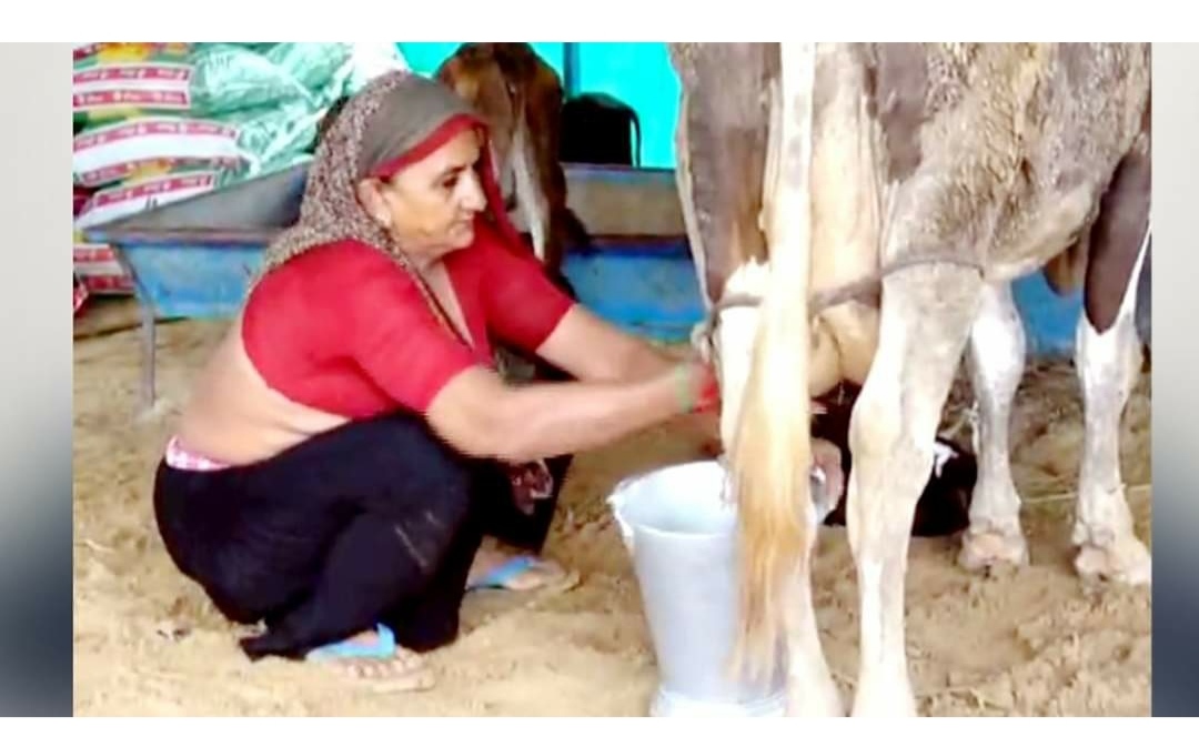 62 साल की महिला दूध बेचकर बनी करोड़पति, महीने में कमाती हैं इतने लाख रुपये