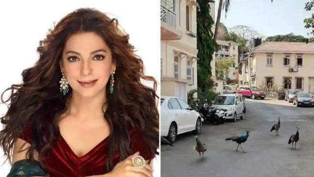 मालाबार हिल्स में जूही चावला के 9 मंजिला आलीशान बंगला, देखे उनके घर की कुछ तस्वीरे
