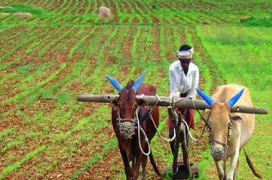 बिना रुपया खर्चे किसानों को मिलेंगे साल के 36000 रुपये, जानिये मोदी सरकार की यह नई योजना