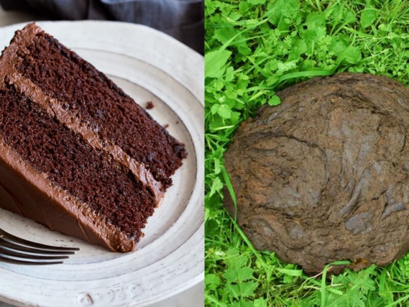Amazon Customer Ate Cake As Dry Cow Dung, Review On Social Media Went Viral