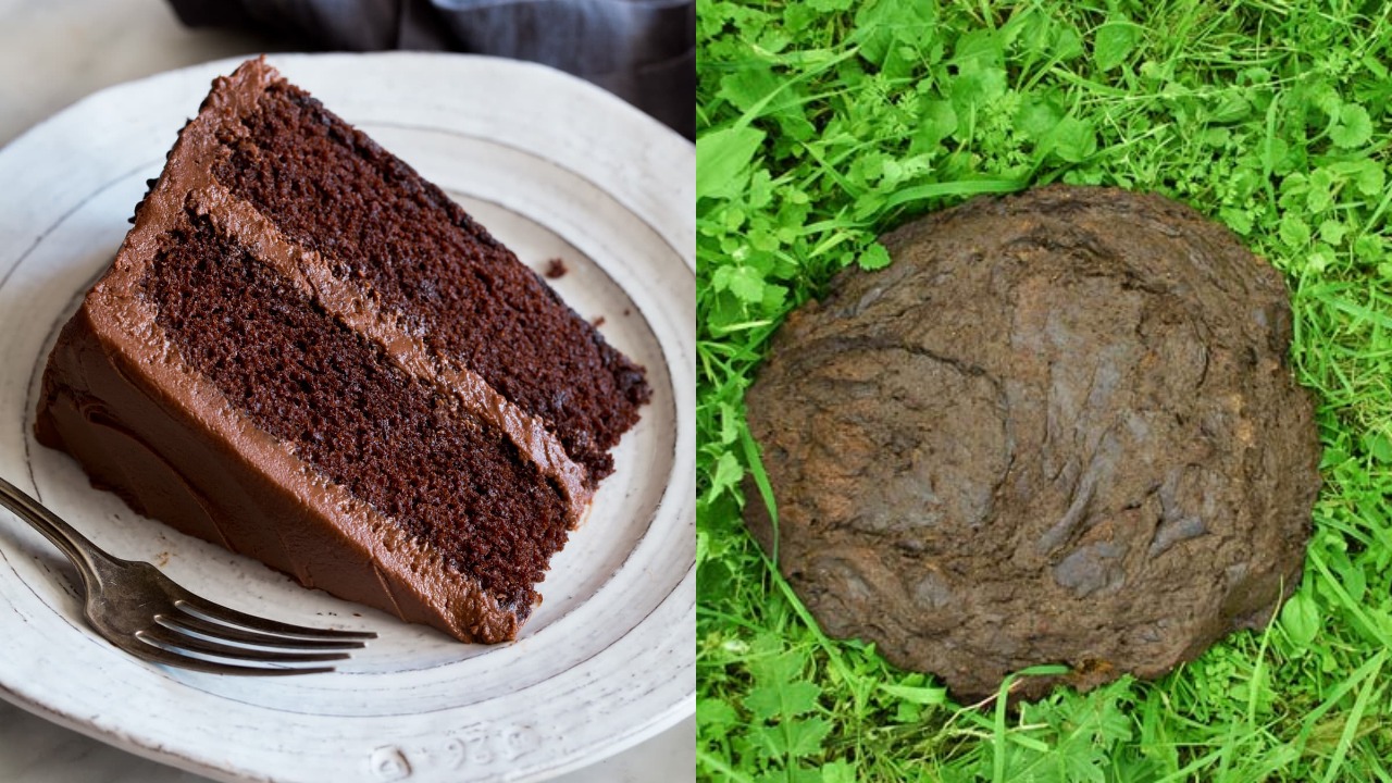 Amazon Customer Ate Cake As Dry Cow Dung, Review On Social Media Went Viral