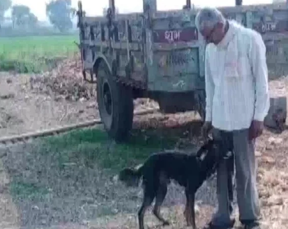 बेटे के व्यवहार से दुखी किसान ने अपनी संपत्ति बेटे और बेटियों को छोड़ वफादार कुत्ते के नाम कर दी