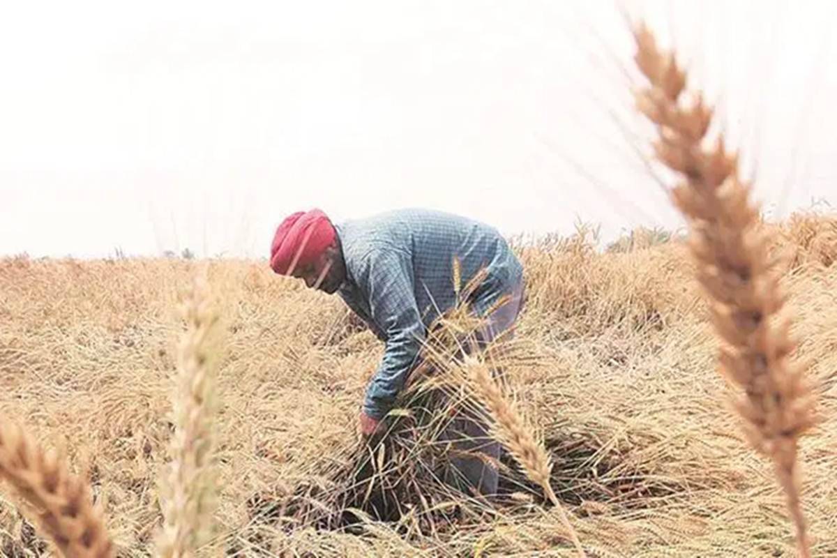 बजट 2021-22 में किसानों और गांव के आम लोगों को क्या-क्या मिला, देखिए