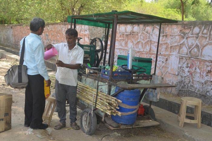 गन्ने