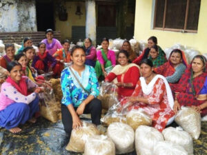 गांव का पलायन रोकने के लिए नौकरी छोड़ शुरू की थी मशरूम की खेती, आज सालाना 5 करोड़ कमा रही Mushroom Girl