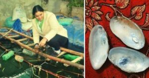 आगरा की रंजना ने कर दिया कमाल, बाथटब में मोती उगाकर कमाए 80,000 रूपए, आप भी जानिए तरीका