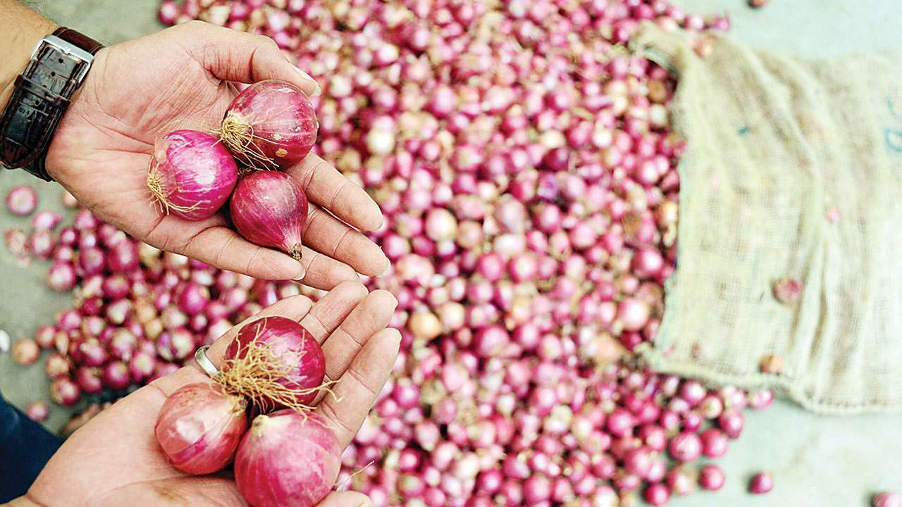 Onion Price: सरसों तेल के दाम में आई भारी गिरावट, अब जानिए क्या हैं प्याज के नये दाम