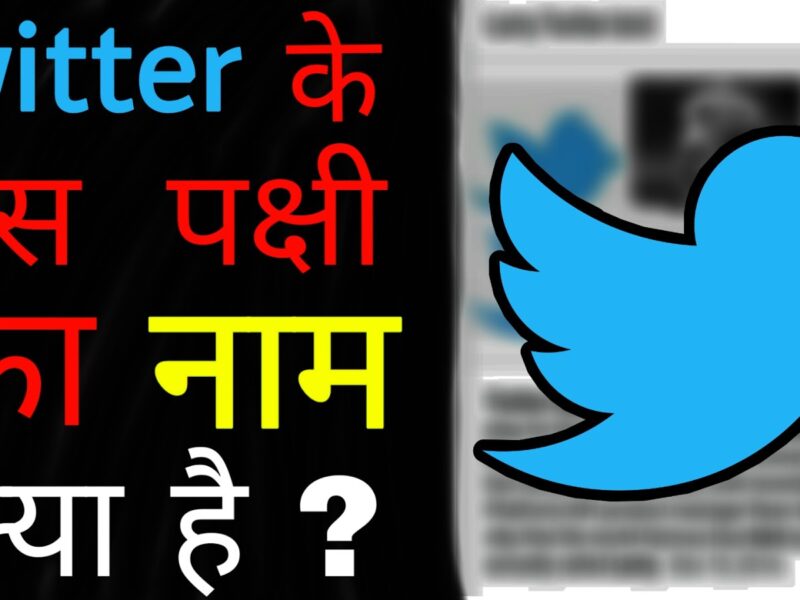 Ias Interview Questions With Answers In Hindi: ट्विटर पर दिखने वाली चिड़िया का क्या नाम है? 