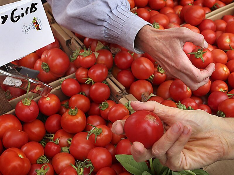 Tomato And Garlic Price: नवरात्री से पहले लाल हुआ टमाटर बढ़ गई कीमत, जानिए क्या है लहसुन के भाव