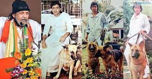 मिथुन चक्रवर्ती के कुत्ते भी जीते हैं आलीशान लाइफ, 250 करोड़ का मालिक है ये अभिनेता