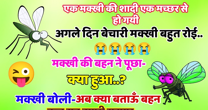 Hindi Funny Jokes : एक मक्खी ने मच्छर से शादी कर ली और शादी के अगले ही दिन मक्खी खूब रोई. मक्खी की बहन ने पूछा -क्या हुआ ?