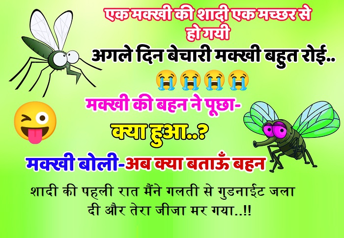 Hindi Funny Jokes : एक मक्खी ने मच्छर से शादी कर ली और शादी के अगले ही दिन मक्खी खूब रोई. मक्खी की बहन ने पूछा -क्या हुआ ?