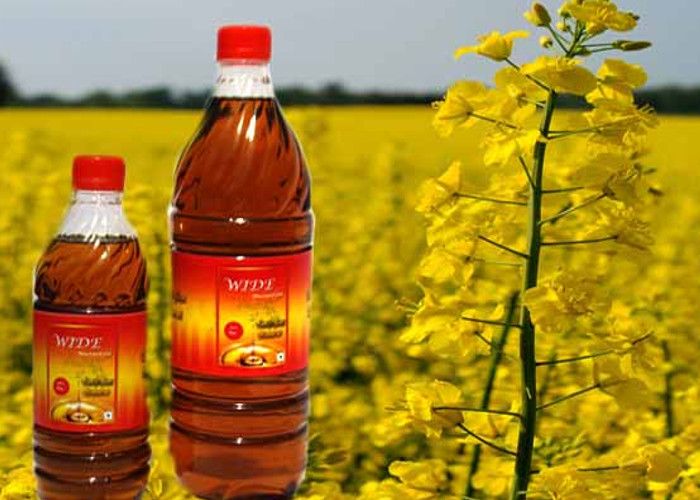 Mustard Oil Price: सरसों तेल की कीमत घटी, मांस-मछली खाने में जेब होगी ढ़ीली, जानिए क्या हैं नये दाम