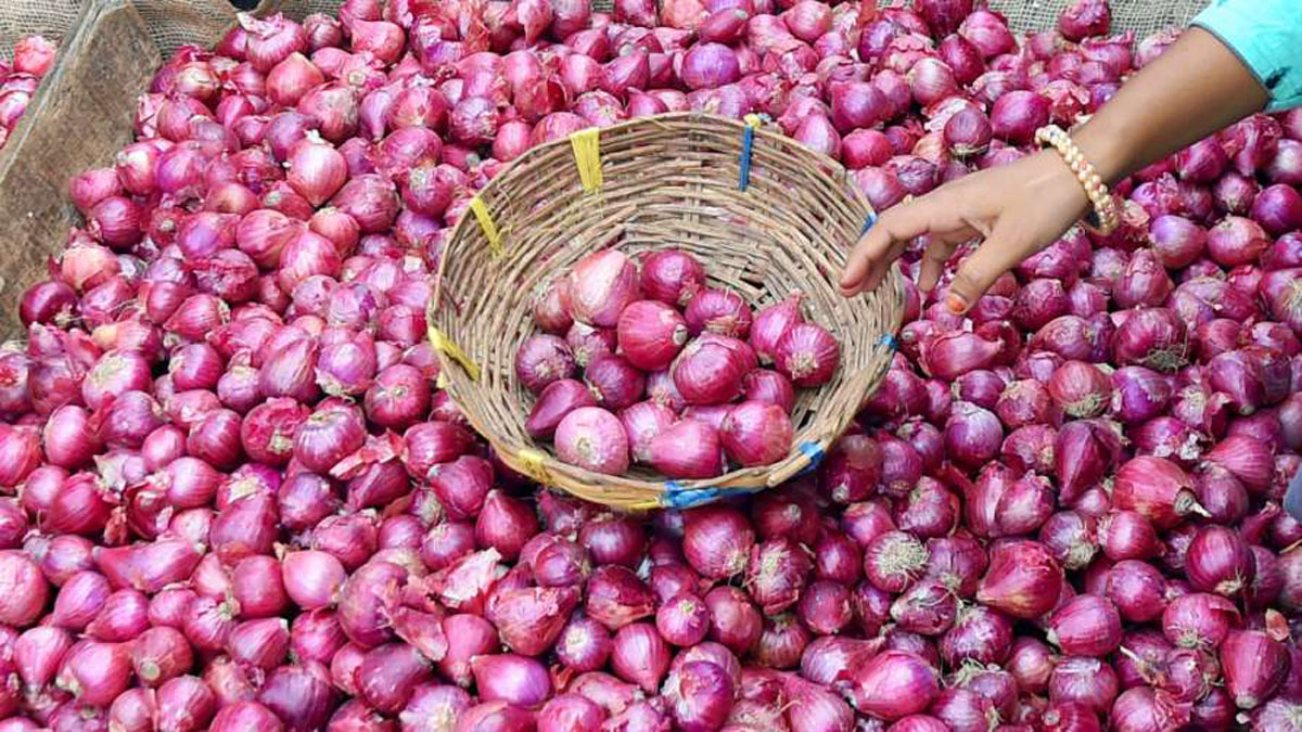 Today Onion Price : प्याज की कीमतों में आई भारी गिरावट, अब मात्र इतने रुपये में मिल रहा 1 किलो प्याज